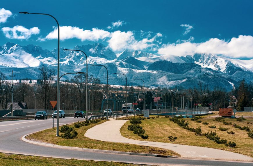 Training Course: Eco Sapiens