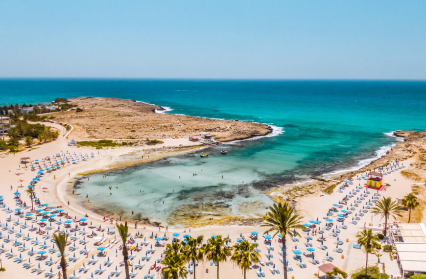 Training Course: DEALOF