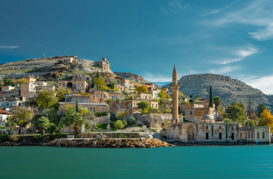 Training Course: Entrepreneurship for Unemployed Youth