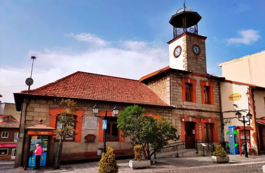 Training Course: Mindful Moves for Mental Health