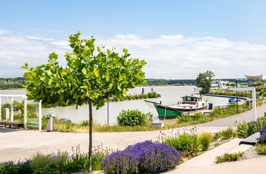 Youth Exchange: SustArt – Sustainable Art for Mental Health